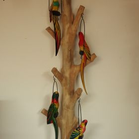 papegaai-hout-stok-kleur